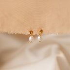 The Dainty Knot Pearl Earrings in 18K Gold exude timeless sophistication, beautifully showcased on a beige textured fabric background.