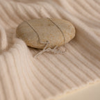 The Pave Handwriting Necklace rests on a smooth stone and cream ribbed fabric, highlighting its timeless statement jewelry style.