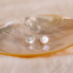 A pearl on a shell, capturing timeless elegance—just like our Freshwater Pearl Studs.