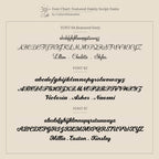 Font chart showcasing three dainty script fonts with sample names in cursive—ideal for personalizing the Luna Name Necklace in Paperclip Chain—displayed on a beige background.