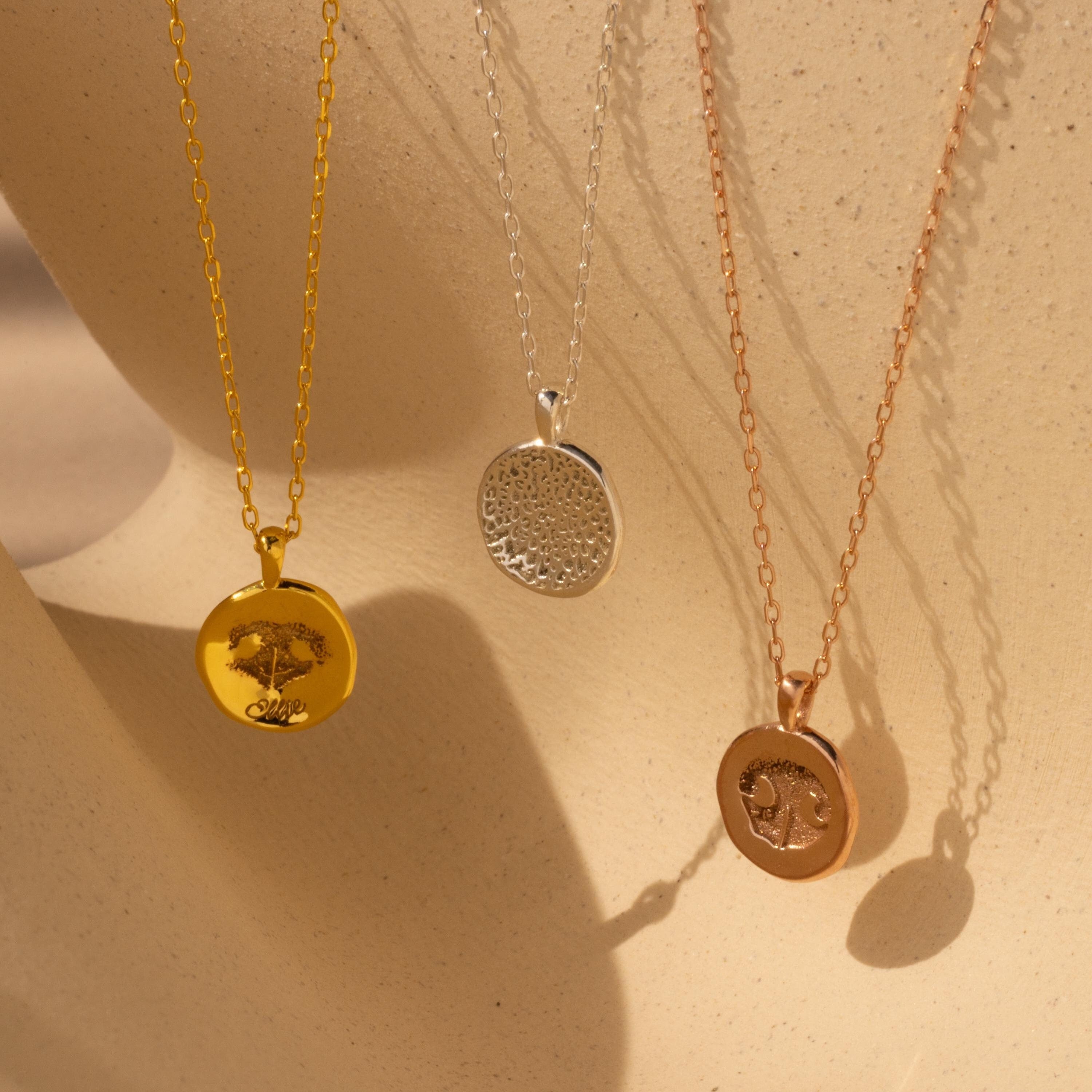 The Paw Print Coin Necklace comes in gold, silver, and rose gold, shown on a beige sculpted surface—ideal as a customizable pet necklace or a stylish pet memorial jewelry piece.