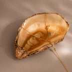 Gold hand chain bracelet displayed across a polished amber-toned oyster shell.