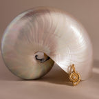 Gold shell-inspired charm pendant with gemstone accents, displayed leaning against a large iridescent seashell on a neutral background.