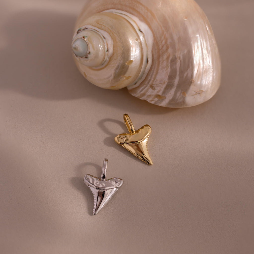 Two Shark Tooth Charm pendants—one gold talisman, one silver—rest by a seashell on a neutral backdrop. These ocean-inspired beauties are stylish jewelry pieces to complete any look.