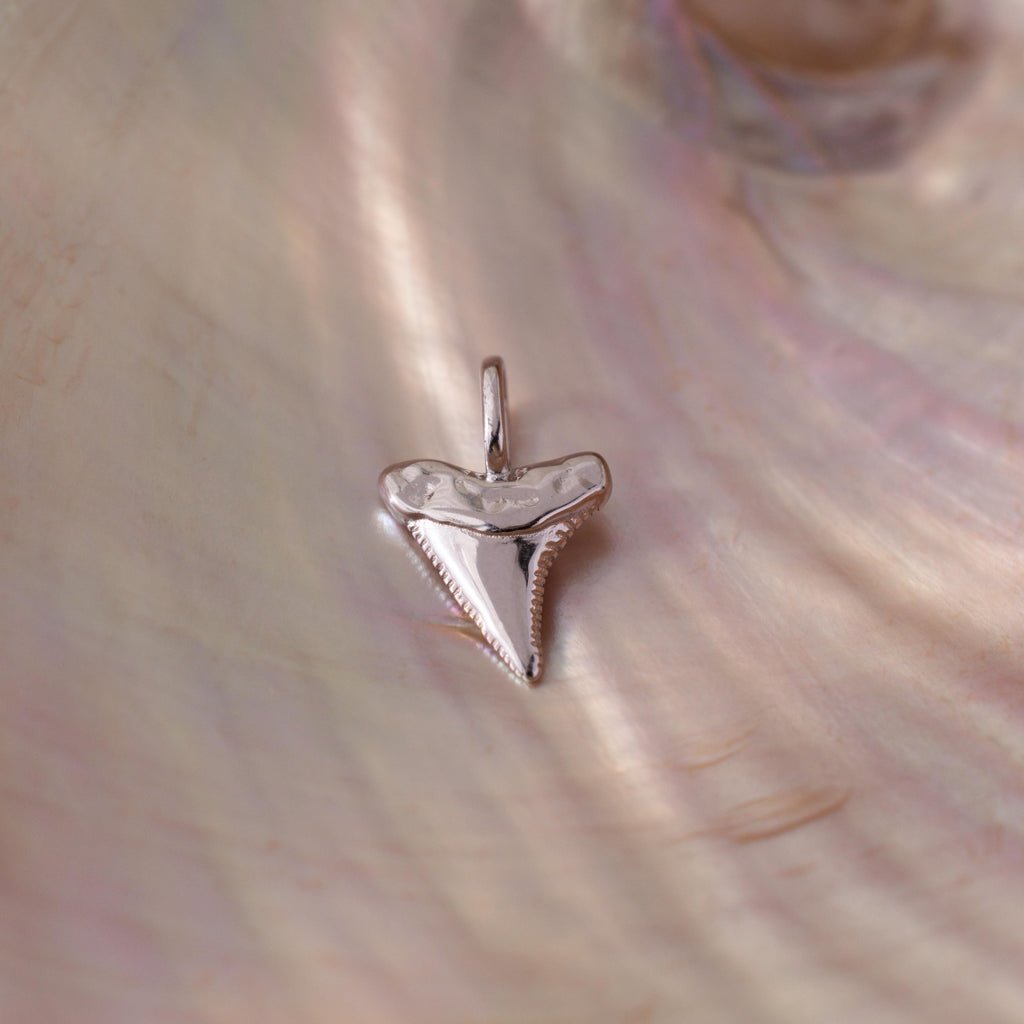 Silver shark tooth charm pendant with a polished finish and textured edges, displayed on an iridescent seashell background.