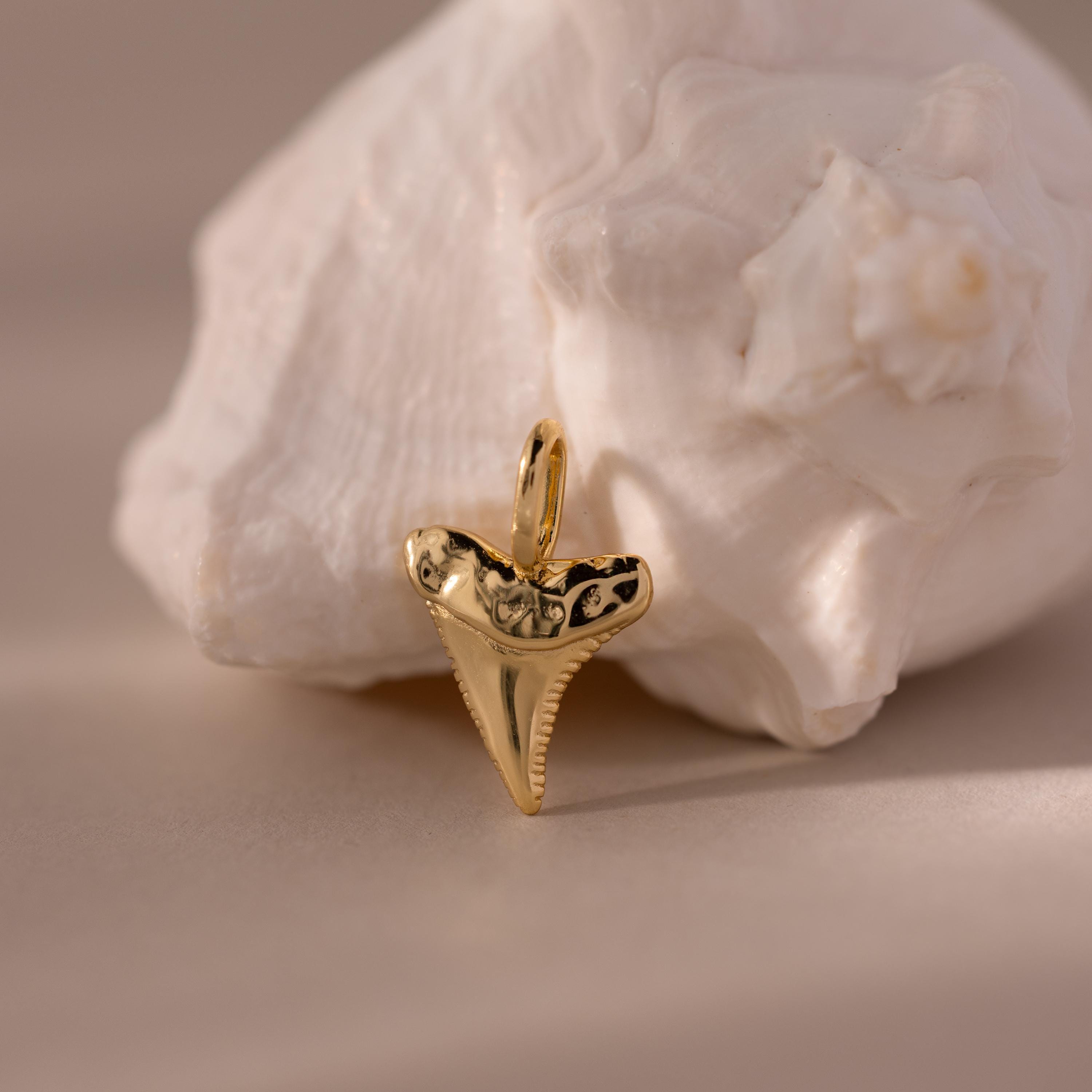 Gold shark tooth charm pendant with a polished finish and textured edges, displayed against a white seashell on a neutral background.