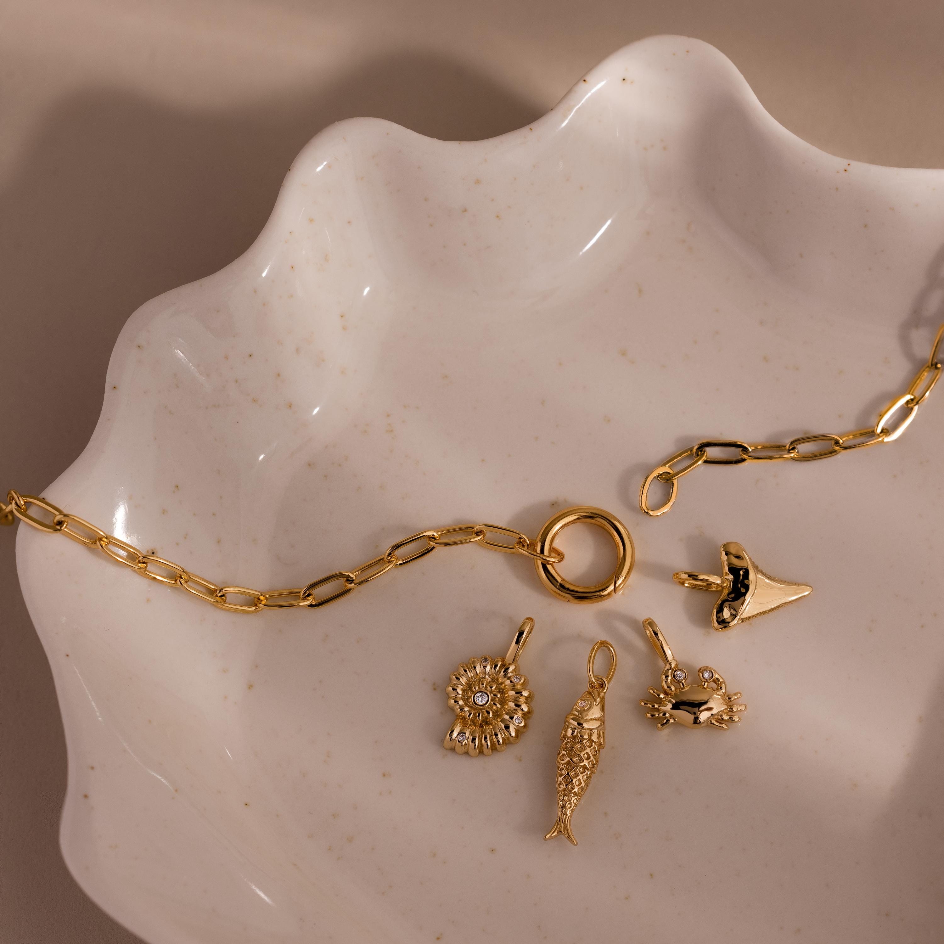 The Pave Seashell Charm gold chain bracelet features four small gold charms, including a delicate seashell charm—displayed on a white ceramic dish, it’s the perfect beach jewelry for ocean lovers.