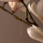 Flatlay of our Opal Diamond Necklace in Gold, hung on a flower branch