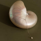 The Pearl Drop Lariat Necklace features a delicate vertical chain and a pearl pendant, elegantly draped over a shiny nautilus shell on an olive background, showcasing the refined style of this jewelry piece.