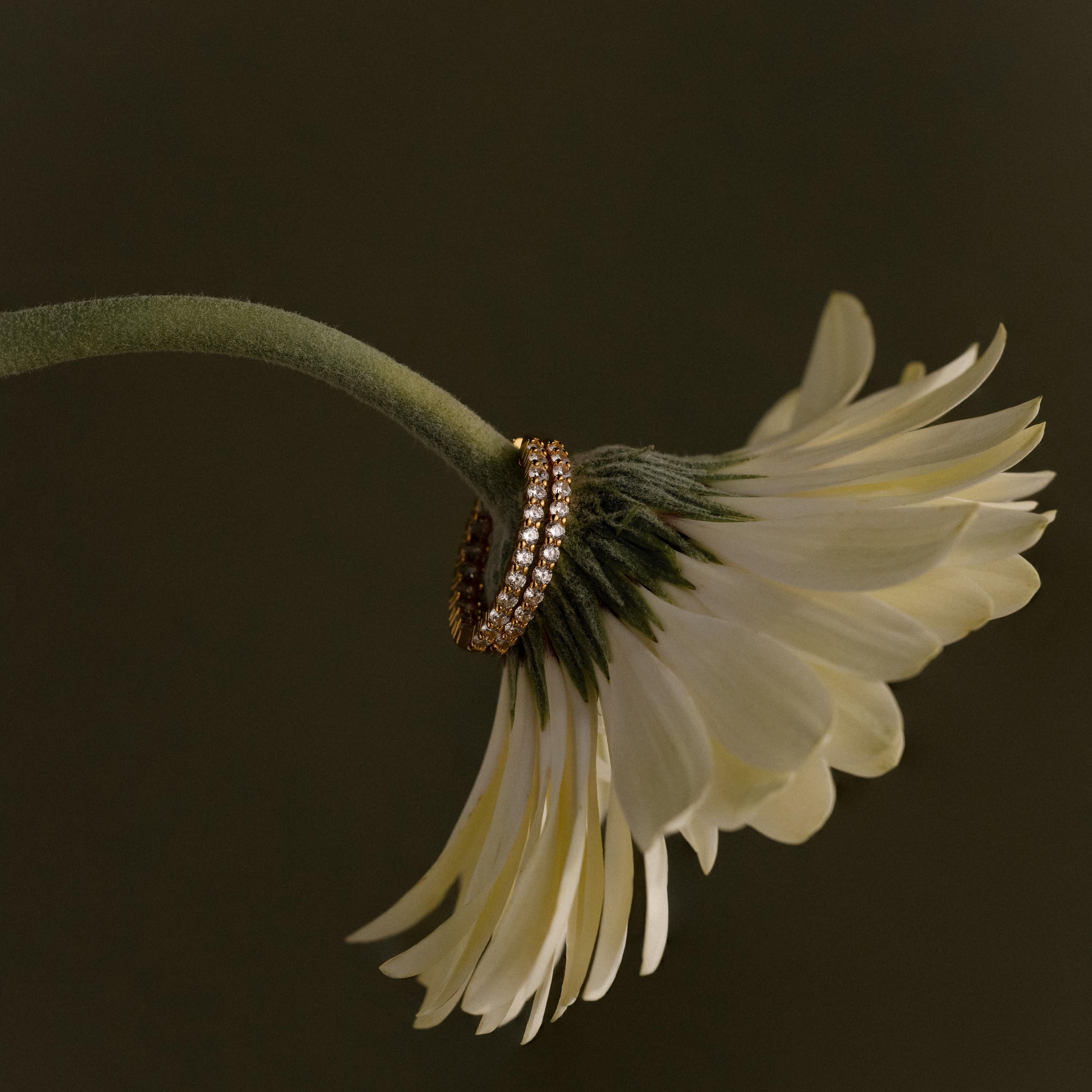 The Inside Out Diamond Hoops in 18K Gold are showcased around the stem of a pale yellow daisy, set against a dark background.