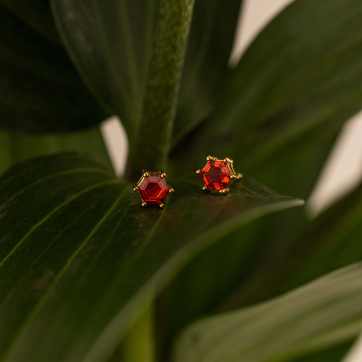 Hexagon Garnet Studs