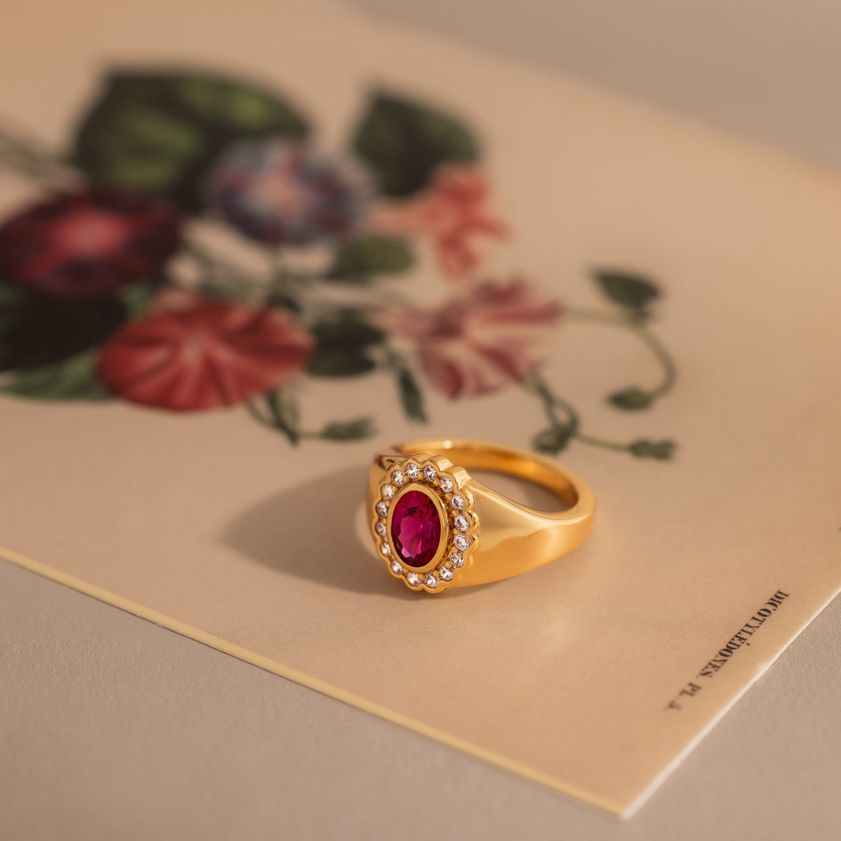 Heirloom Ruby Signet Ring