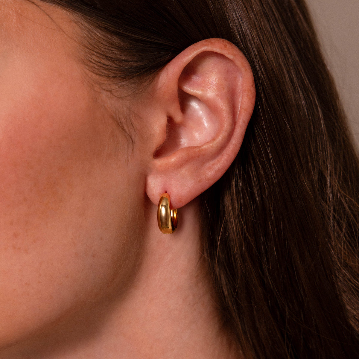 Bold Sculpted Hoops Set