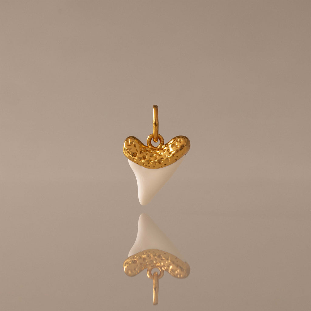 White Shark Tooth Charm