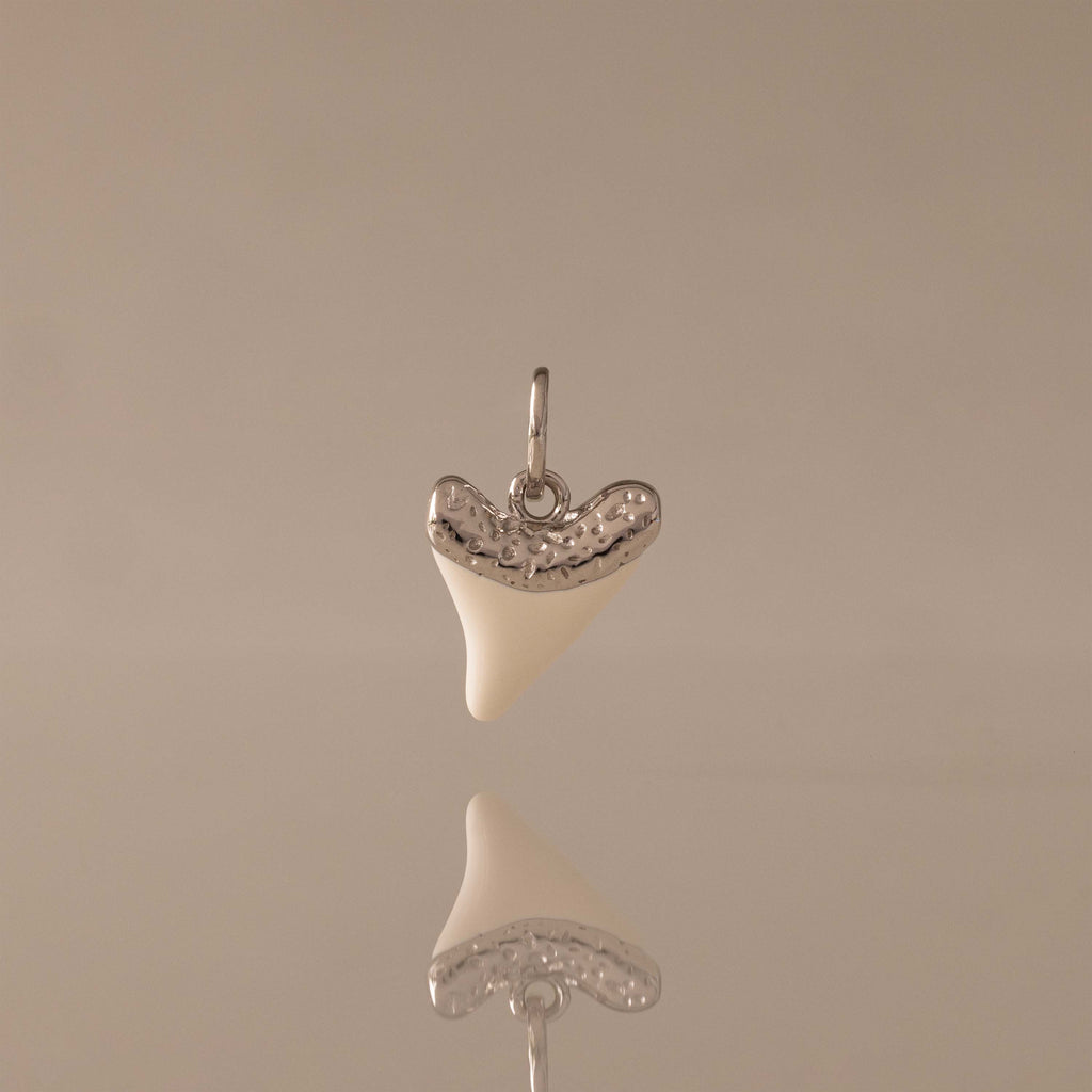 White Shark Tooth Charm in Silver
