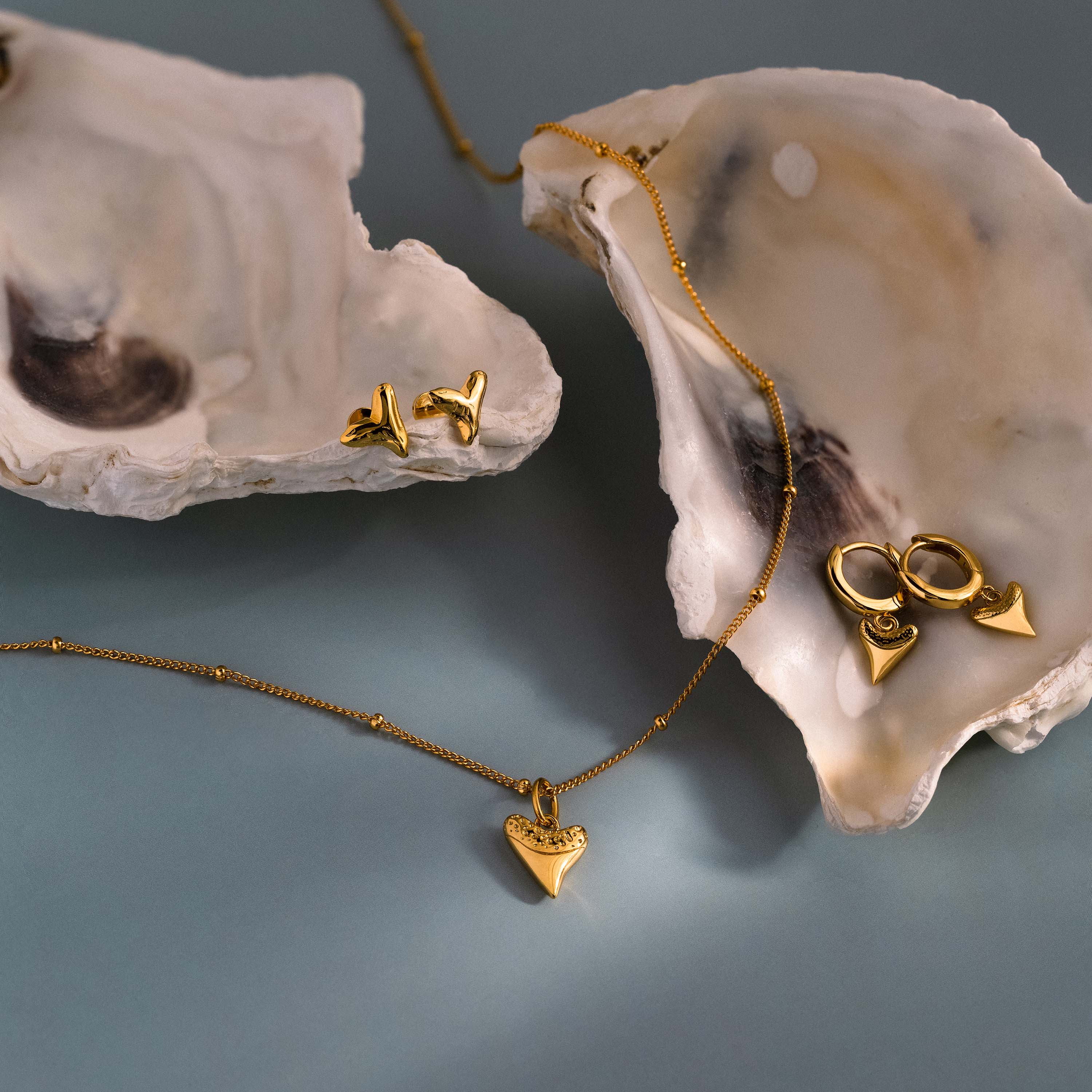 Shark Tooth Jewelry Set in 18K Gold