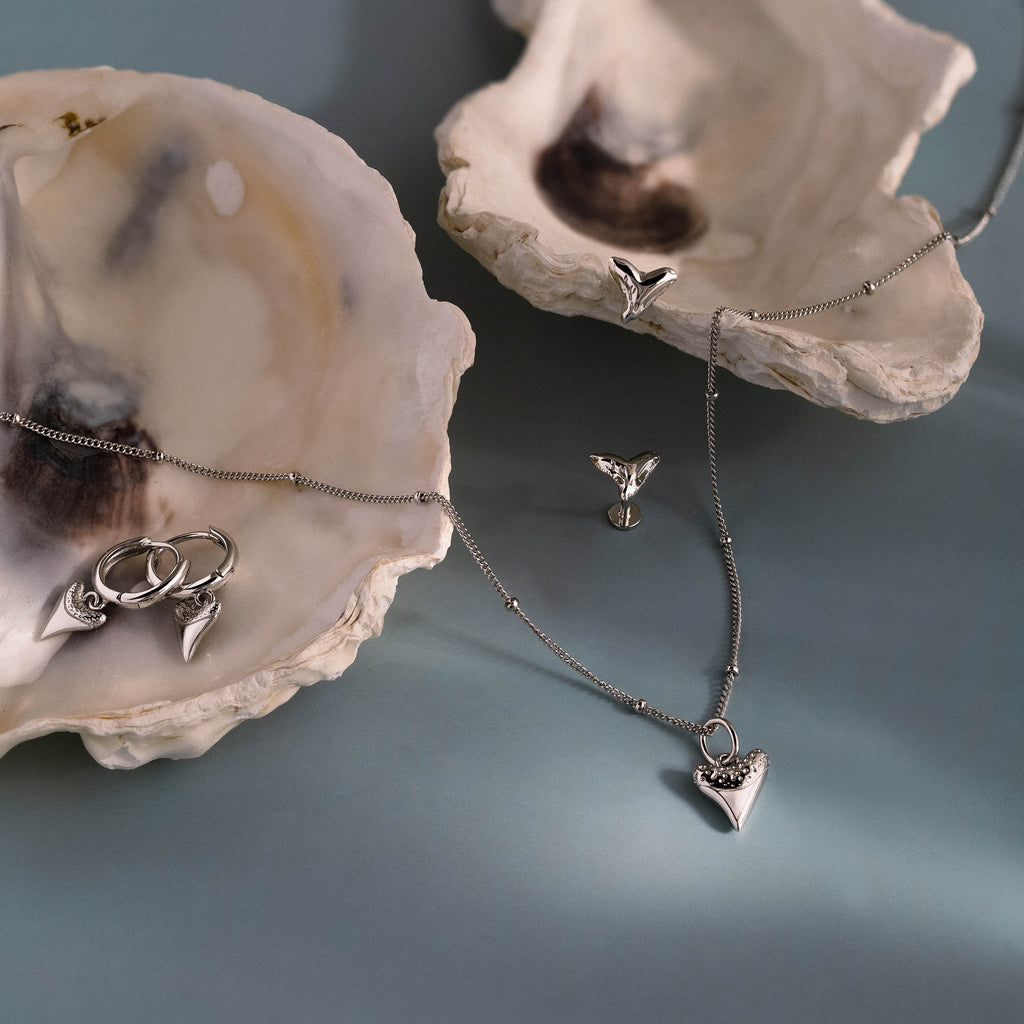Shark Tooth Jewelry Set in Silver