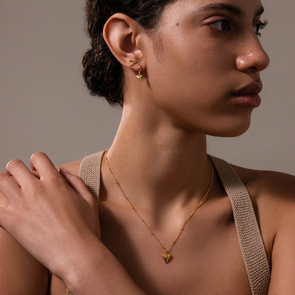 Shark Tooth Jewelry Set in 18K Gold