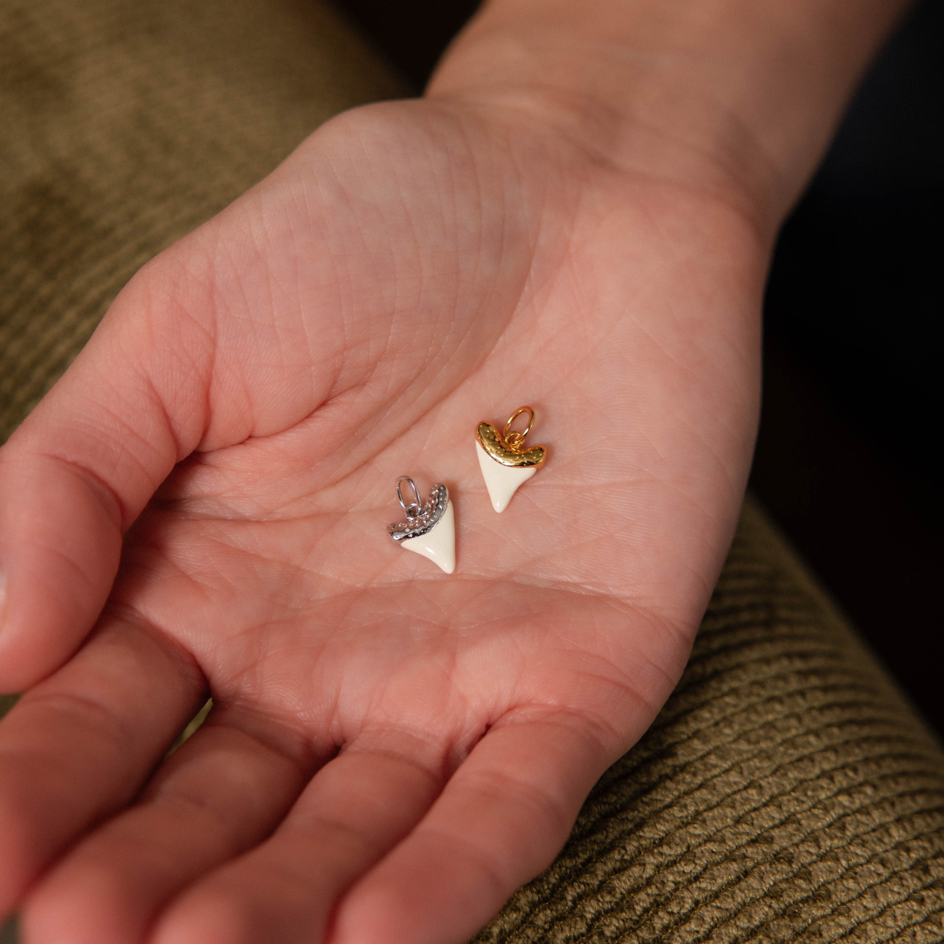 White Shark Tooth Charm