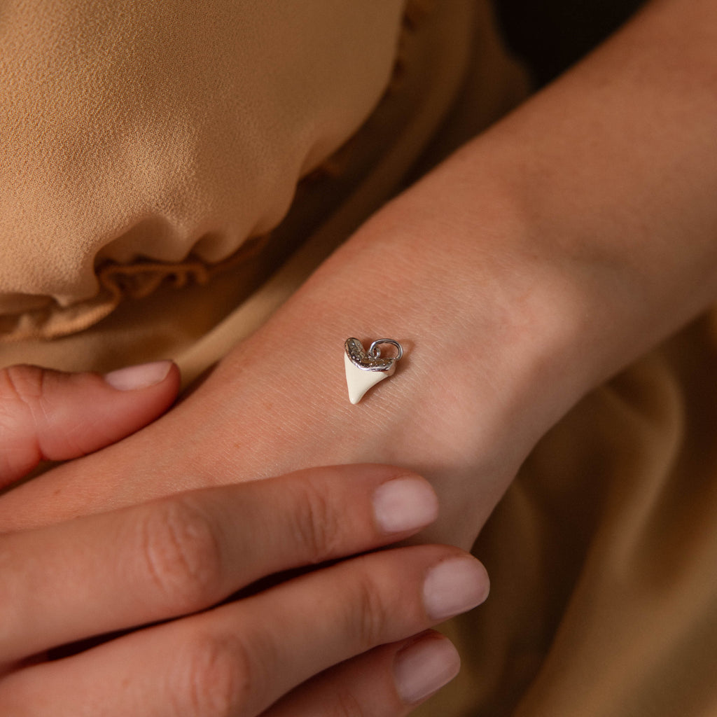 White Shark Tooth Charm in Silver