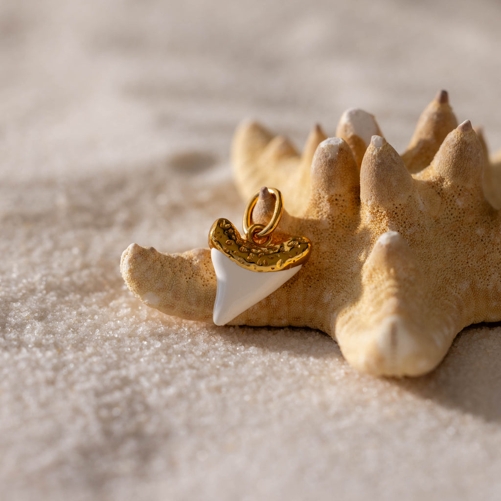White Shark Tooth Charm in 18K Gold
