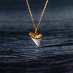 White Shark Tooth Charm in 18K Gold