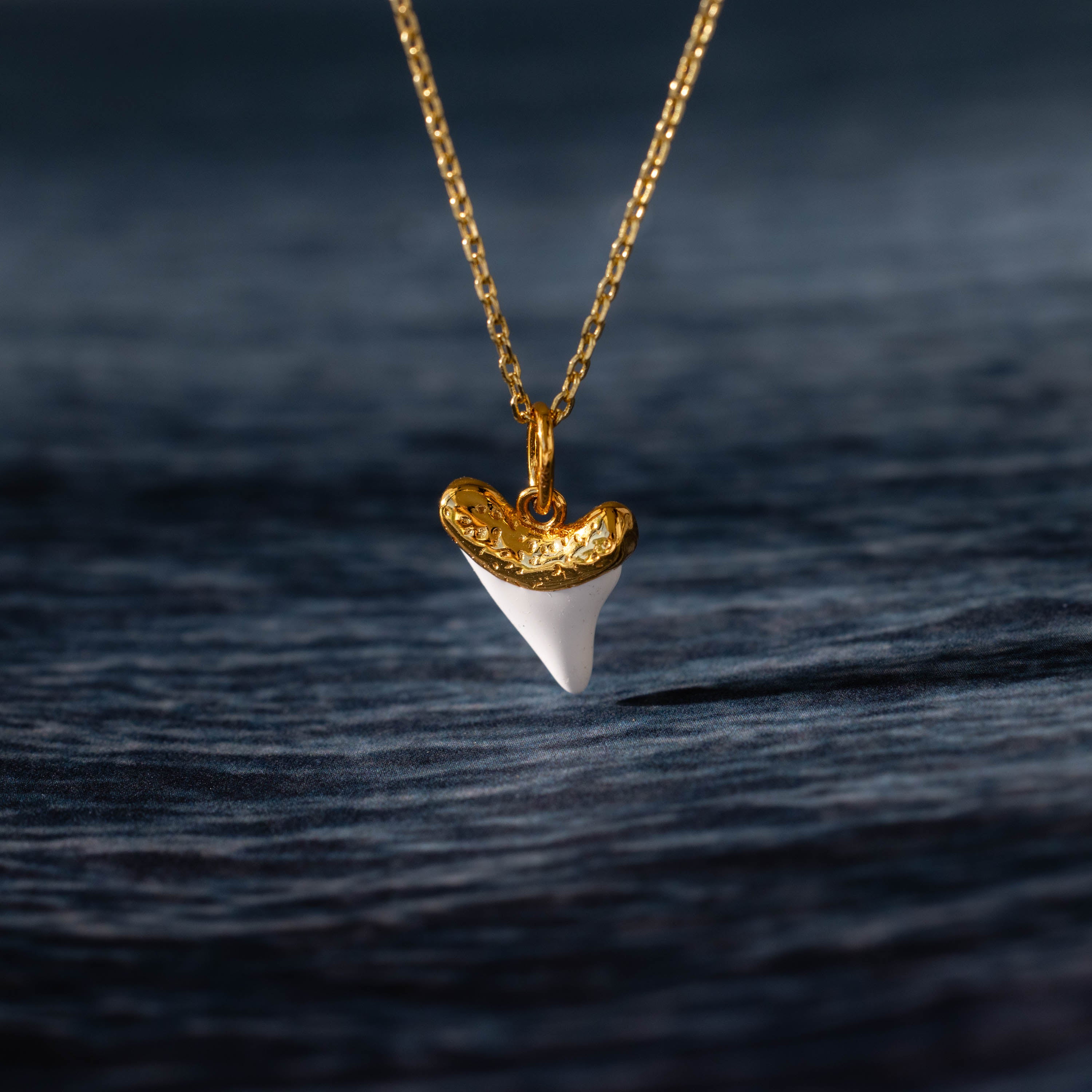White Shark Tooth Charm in 18K Gold
