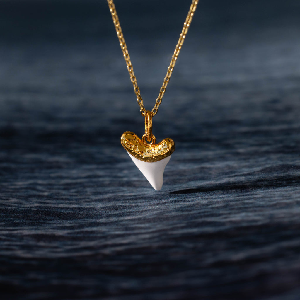 White Shark Tooth Charm