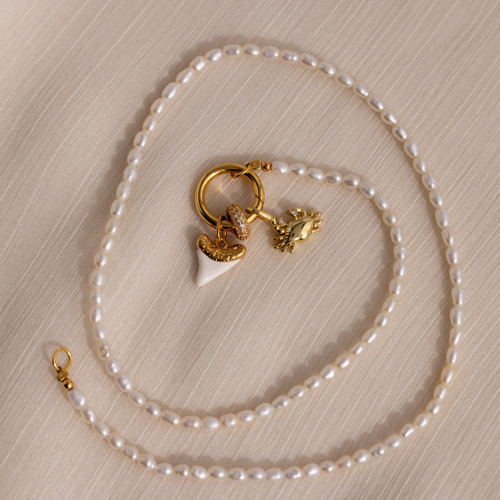 White Shark Tooth Charm in 18K Gold
