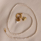 White Shark Tooth Charm