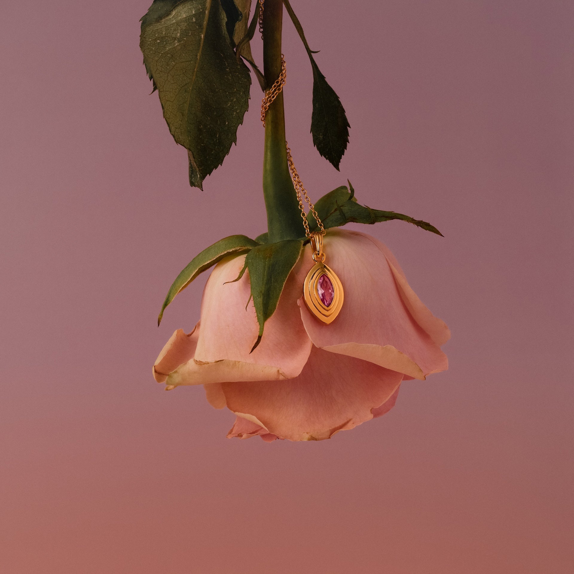 A pink rose hangs upside down with the Ribbed Pink Tourmaline Pendant Necklace, featuring a ribbed gold chain and pink gemstone pendant, draped over its stem.