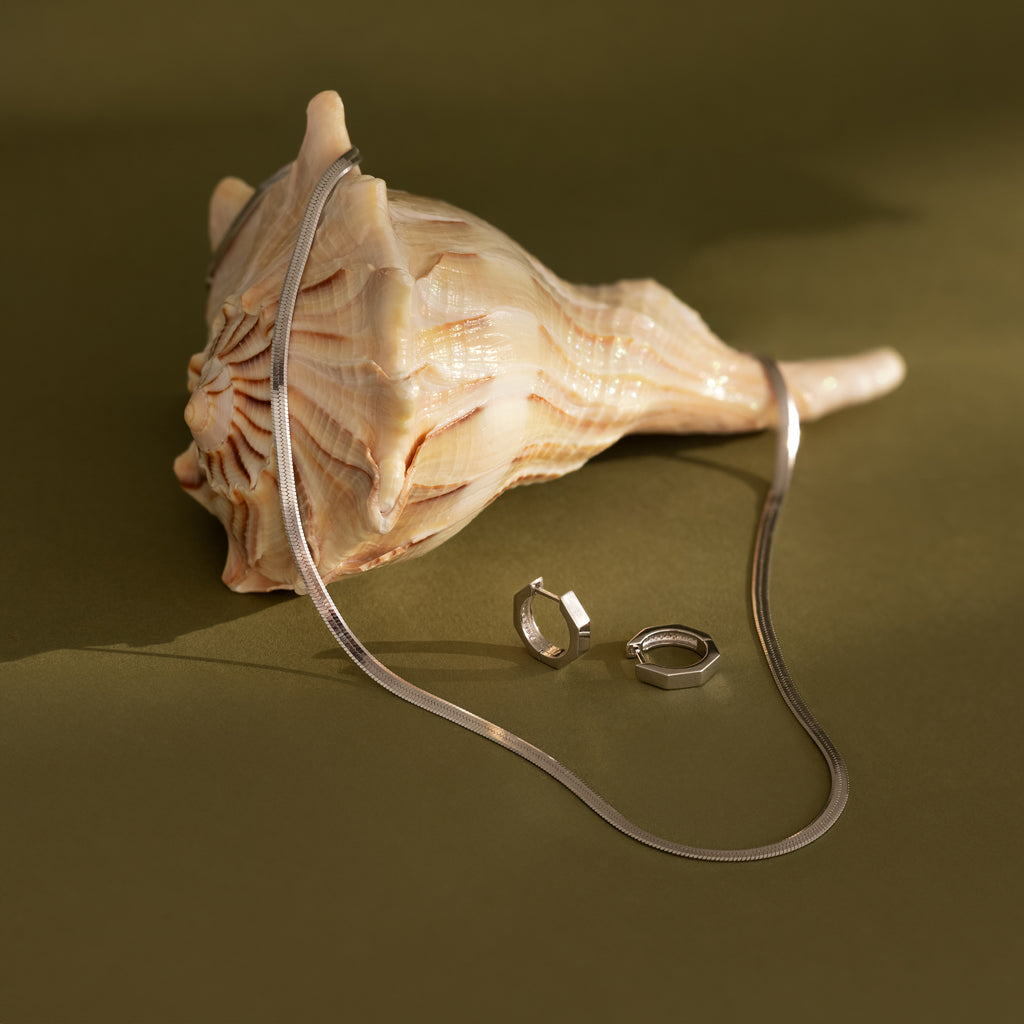 Conch shell with a silver herringbone chain necklace and silver earrings on a green background 