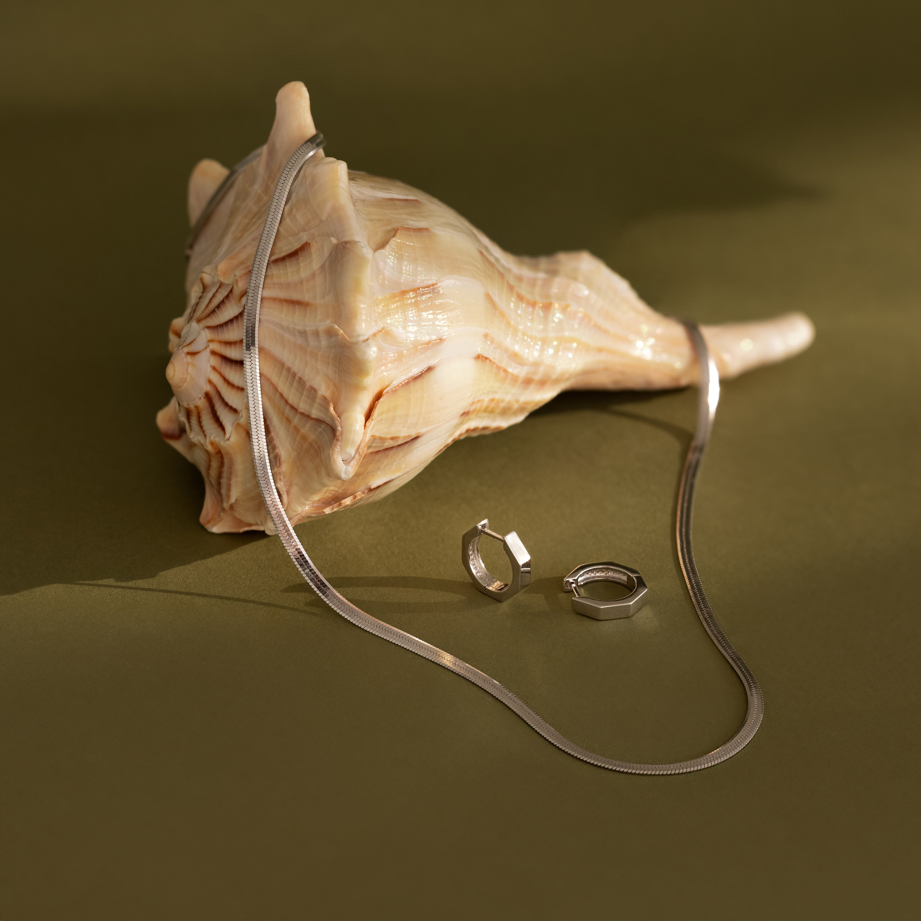 Conch shell with a silver herringbone chain necklace and silver earrings on a green background 