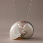 The Pearl Bead Necklace is displayed in front of a spiral seashell on a neutral background—an elegant Mother’s Day gift choice.