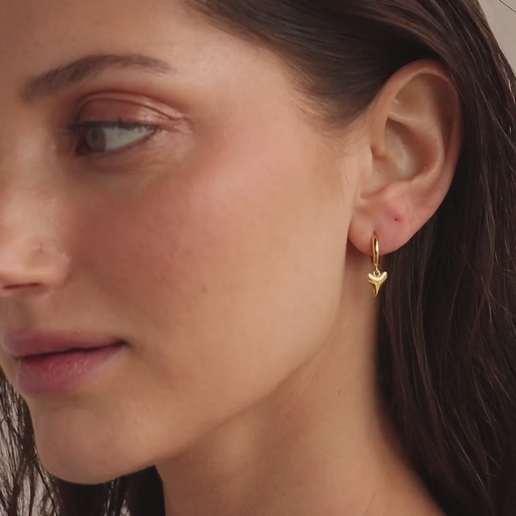 Abrazos de dientes de tiburón