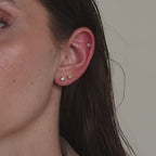 Mixed Diamond Flat Back Stud Set