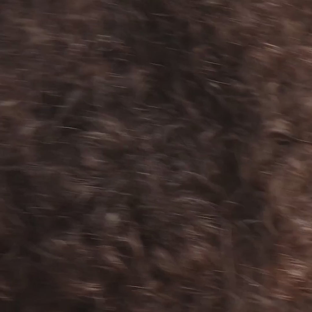 Citrine Pave Huggies