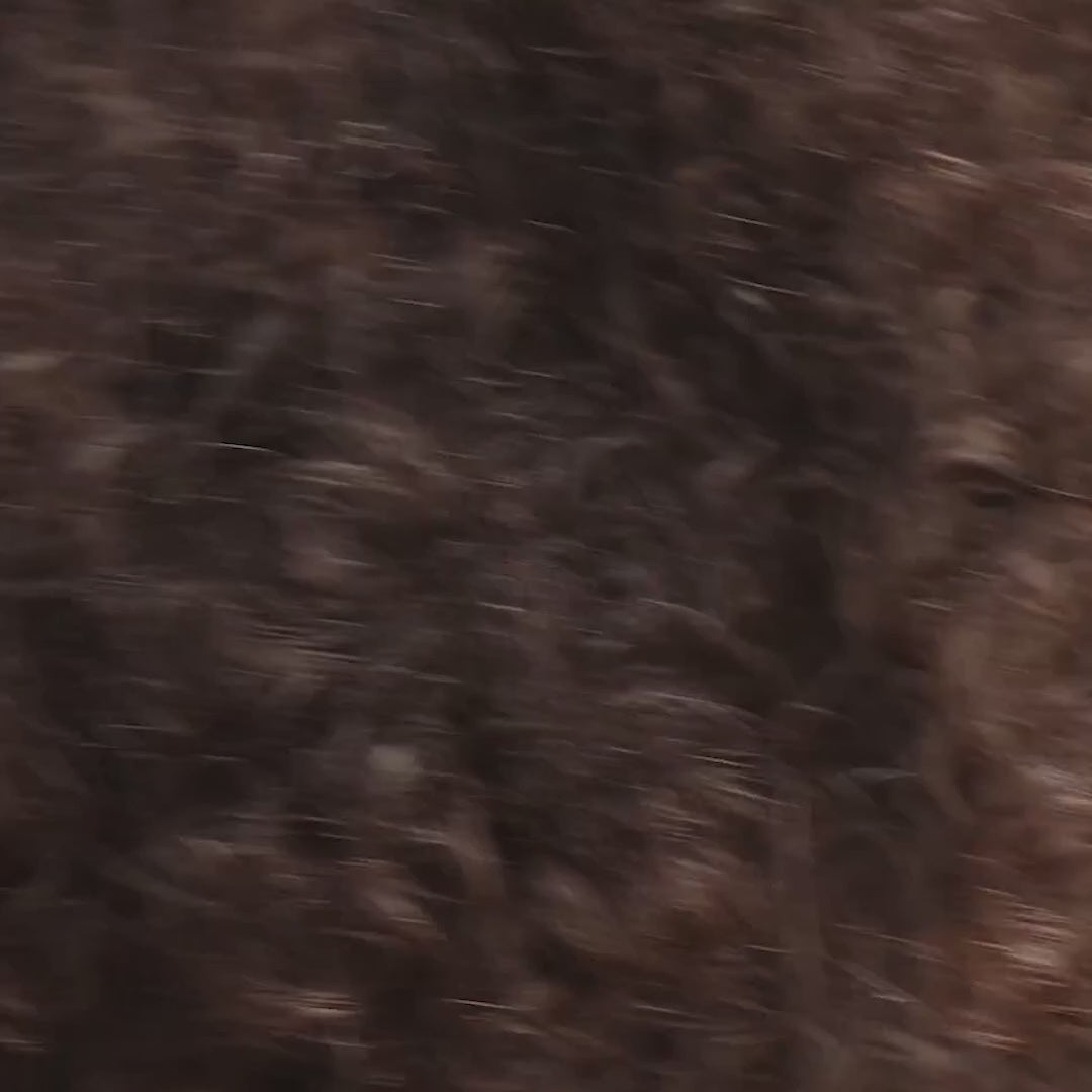 Citrine Pave Huggies