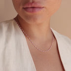 Collier Station Rose