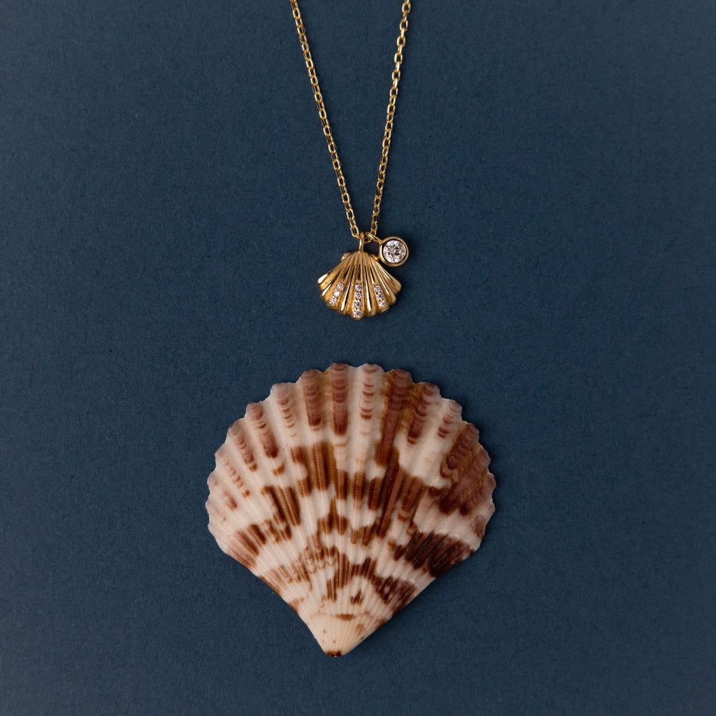 Diamond Seashell Charm Necklace featuring a sparkling gem and delicate shell pendant, displayed above a brown-and-white seashell on a blue background—perfect coastal-inspired jewelry.