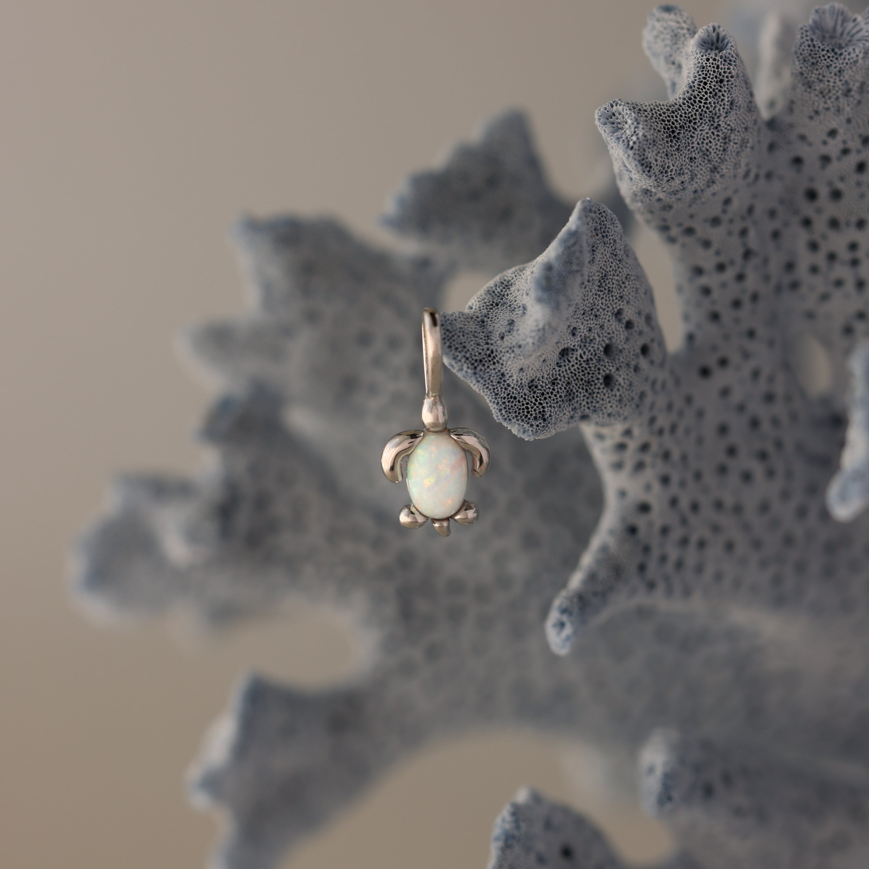The Opal Sea Turtle Charm features a shimmering opal stone and hangs from textured blue-gray coral, making it the perfect piece of ocean-inspired seaside jewelry.