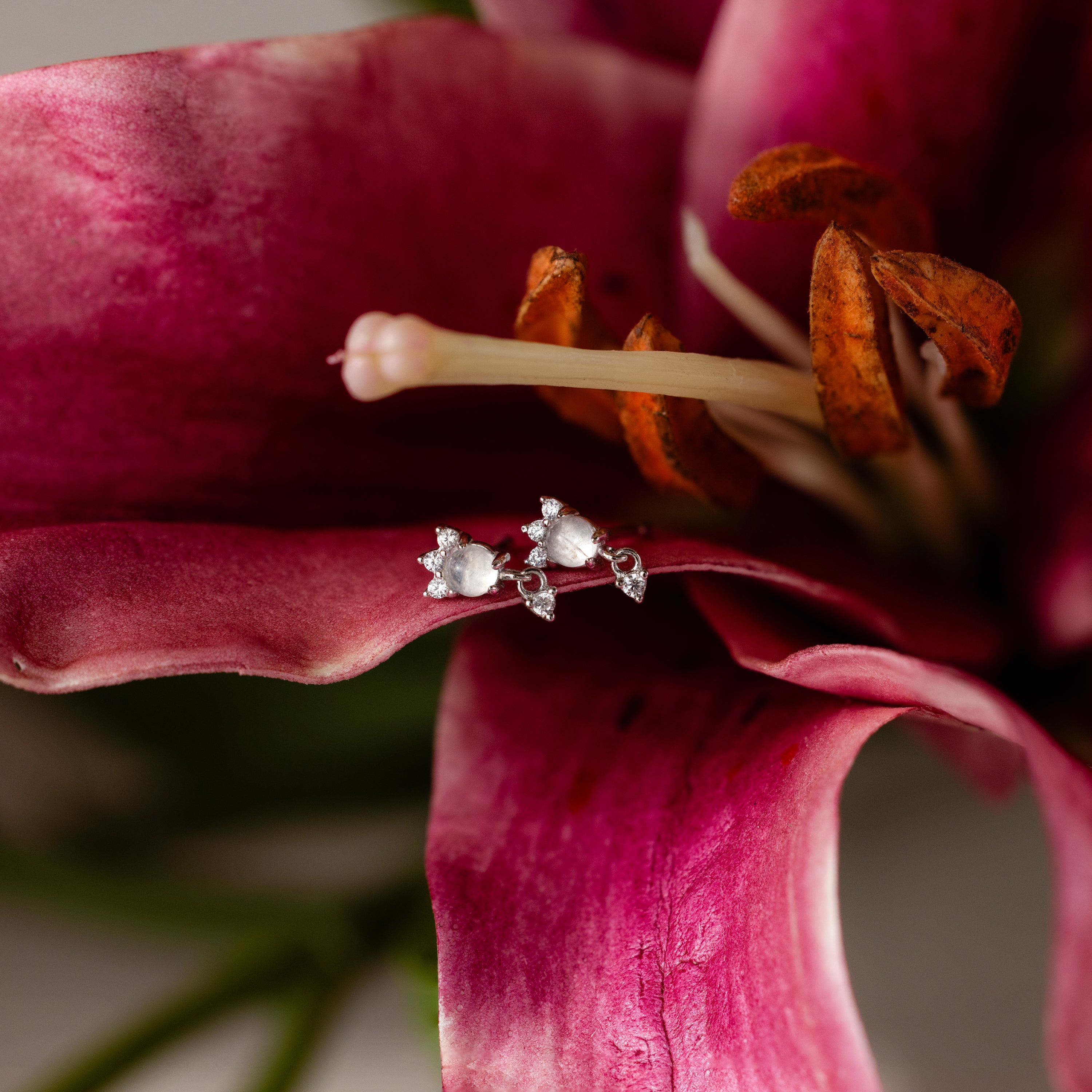 The Halo Moonstone Drop Studs in Sterling Silver showcase regal elegance as they glimmer atop the petal of a vibrant pink lily flower.
