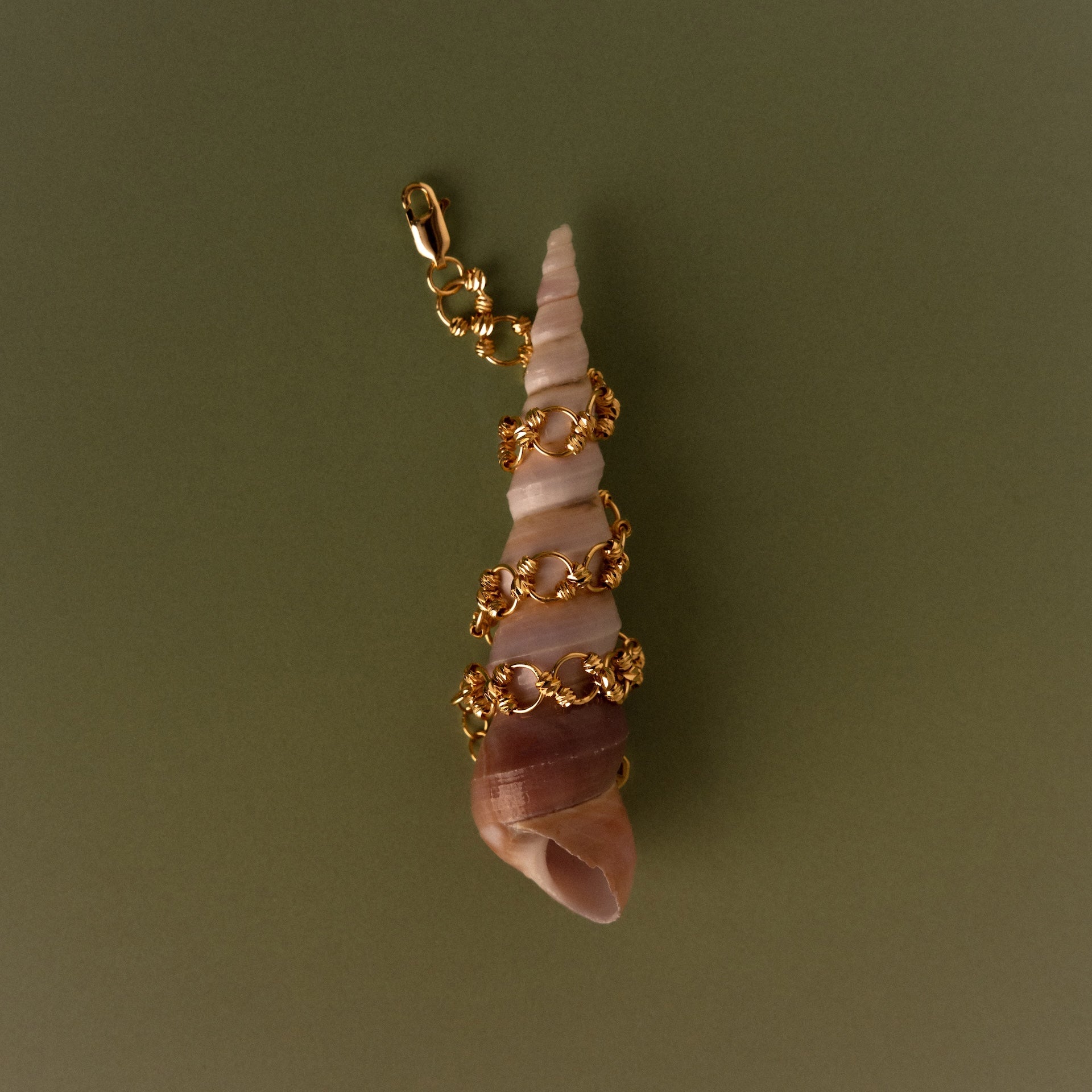 The Orbit Chain Bracelet features a spiral seashell adorned with a gold chain and clasp, exuding elegance against a striking green background.