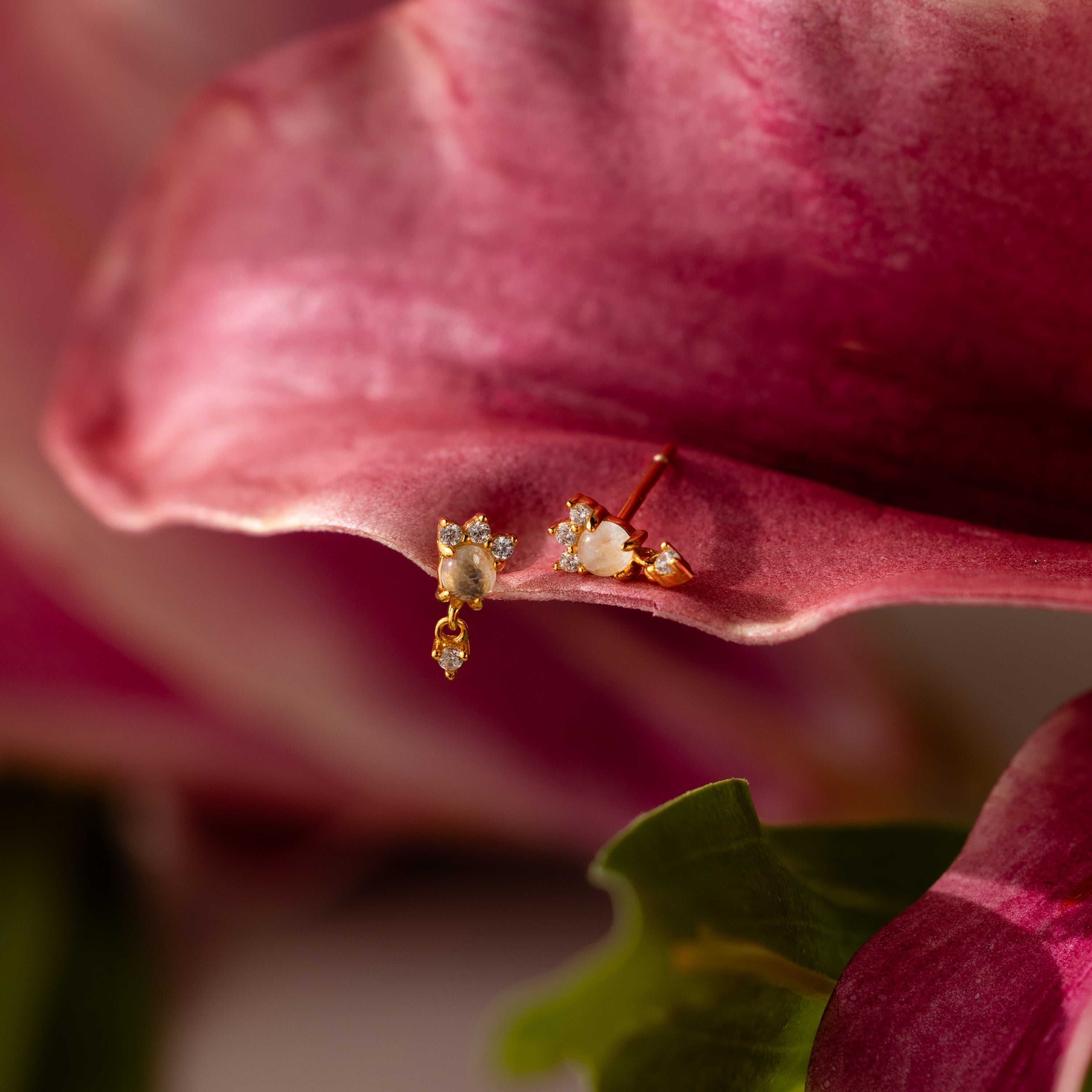 The Halo Moonstone Drop Studs in 18K Gold showcase royal elegance, featuring delicate moonstones and gems as they rest gracefully on a pink flower petal with a softly blurred background.