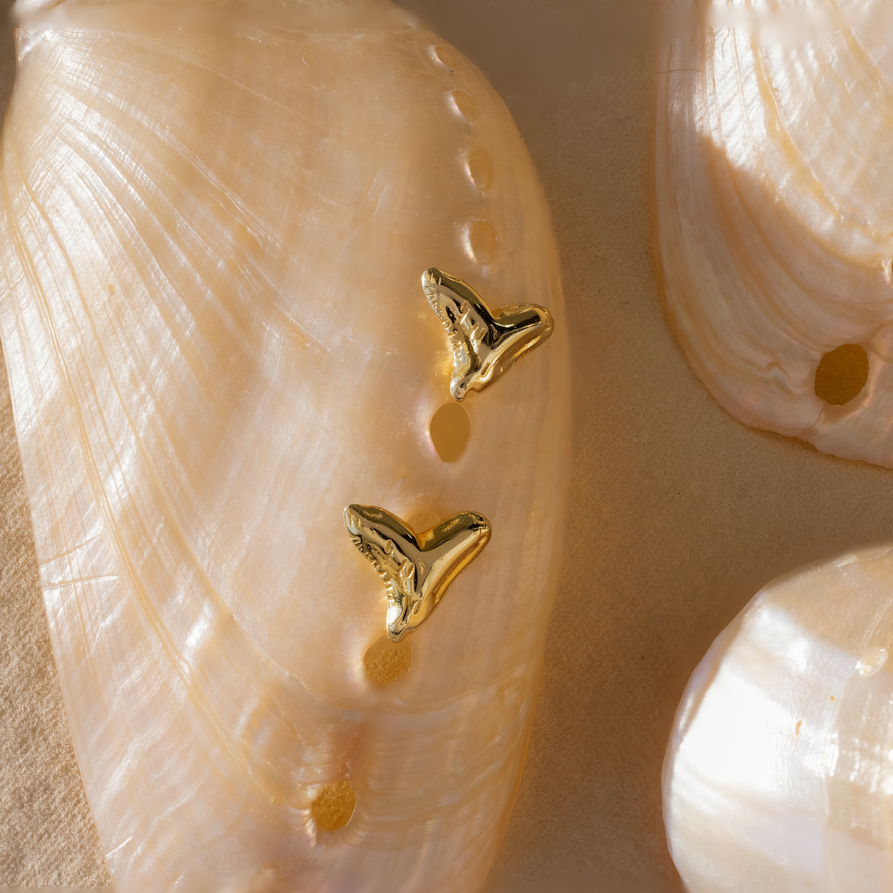 Shark Tooth Jewelry Set in 18K Gold