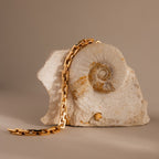 The Eternal Link Bracelet, in gold, rests on a beige stone with a spiral fossil, highlighting its modern geometric design against a neutral backdrop.