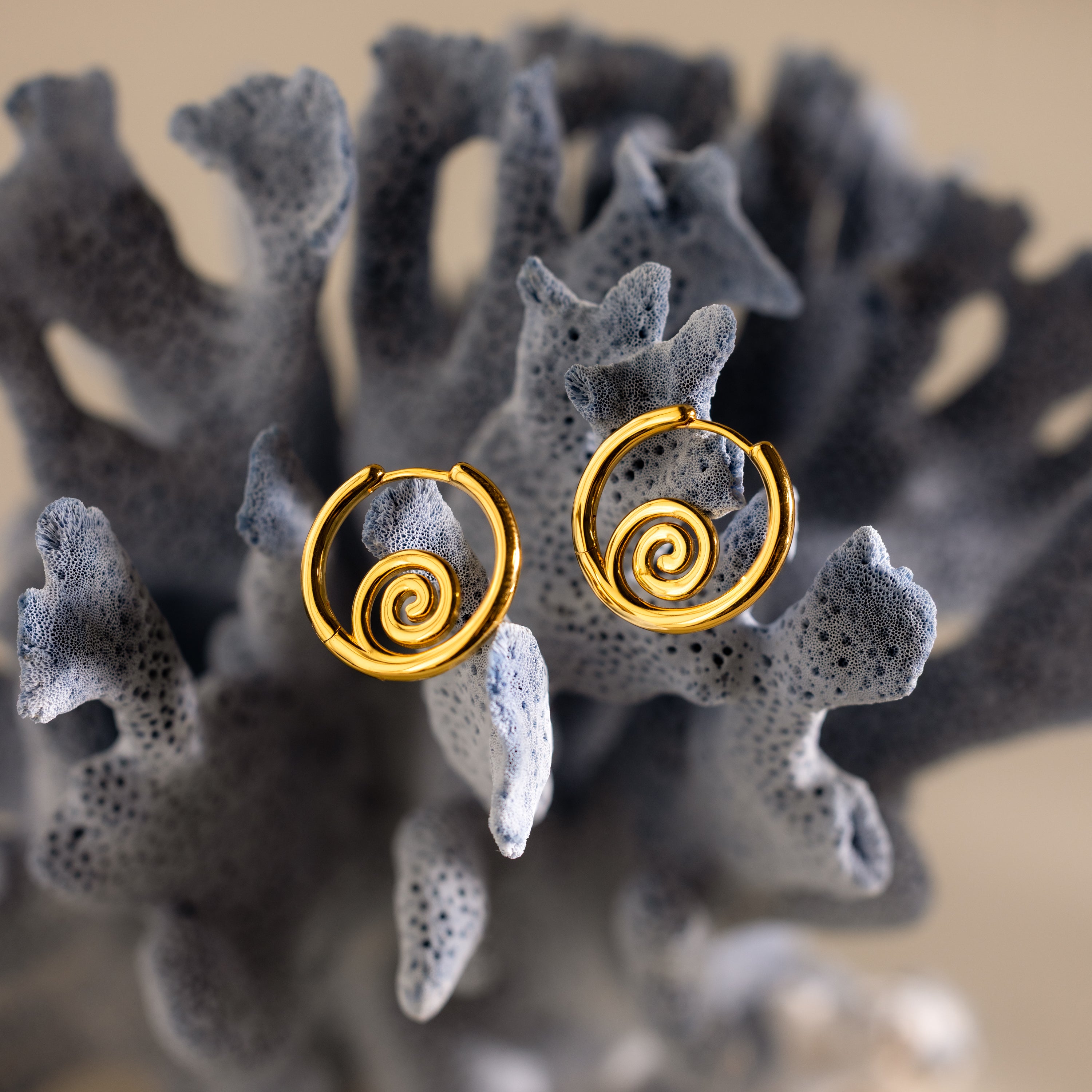 Spiral Swirl Hoops in 18K Gold shown on textured gray coral—stylish boho vacation jewelry for anyone looking for unique, beachy earrings.