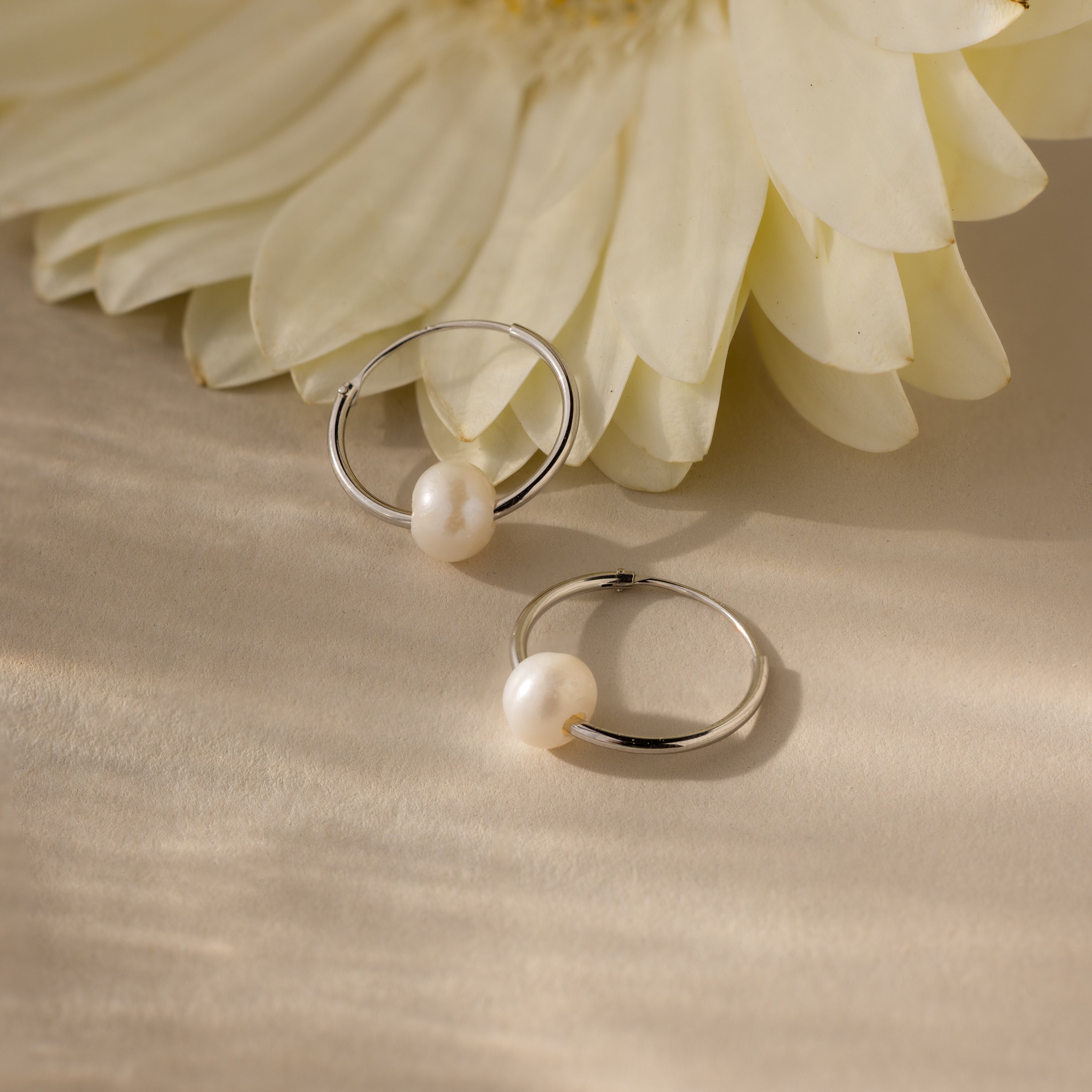 Round Pearl Hoops in Sterling Silver, featuring luminous pearls on polished silver hoops, are displayed on a light surface next to a large cream flower.