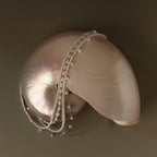 The Venus Pearl Necklace is draped over a large, shiny nautilus shell against a plain background—an elegant display of timeless jewelry.
