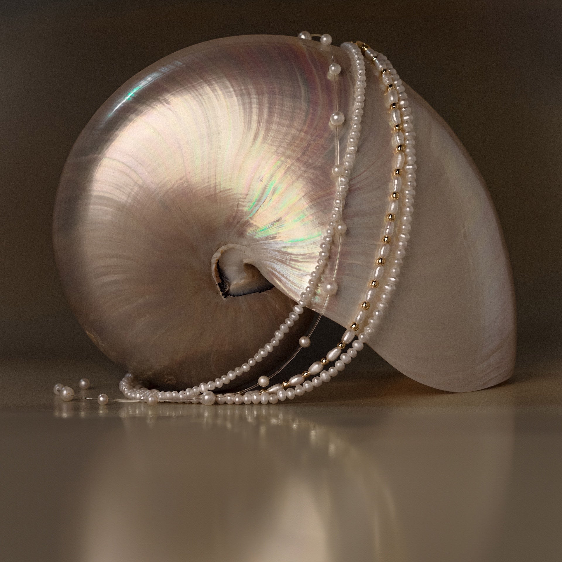 The Beaded Pearl Necklace in 18K Gold, with delicate polished beads, is elegantly draped over a nautilus shell and set against a soft, neutral background.